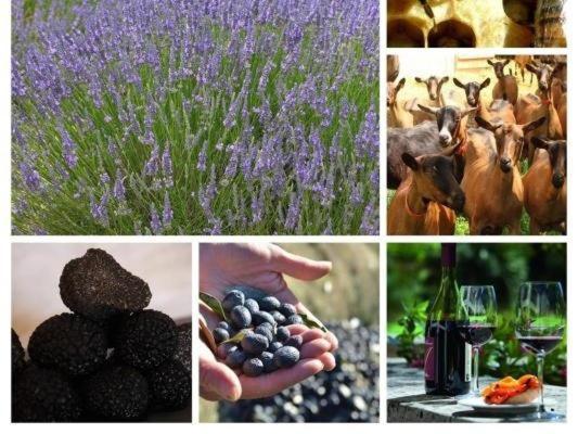 Готель La Ferme Les Eybrachas Reauville Екстер'єр фото