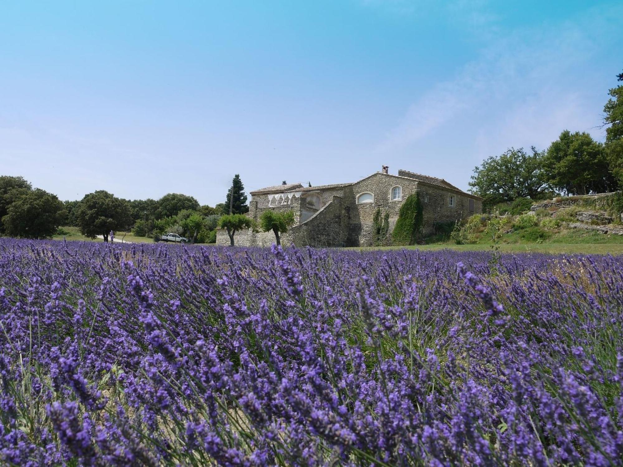 Готель La Ferme Les Eybrachas Reauville Екстер'єр фото